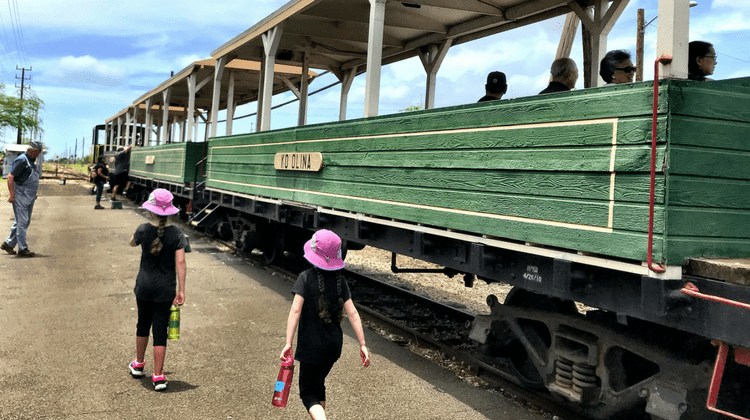 Featured Image - Hawaiian Railway Society Oahu Train Ride