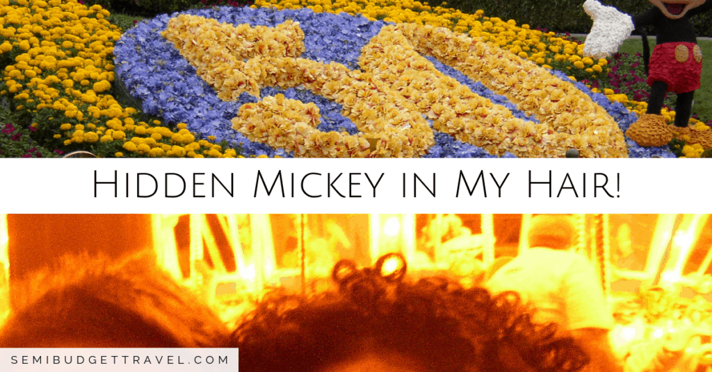 Blog Banner (FB Ad Size) - Hidden Mickey in My Hair SBT