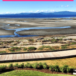 Pinterest - Things to Do in Parksville BC