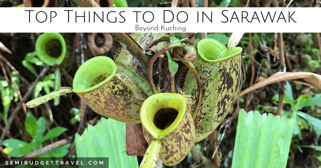 Things to Do in Sarawak