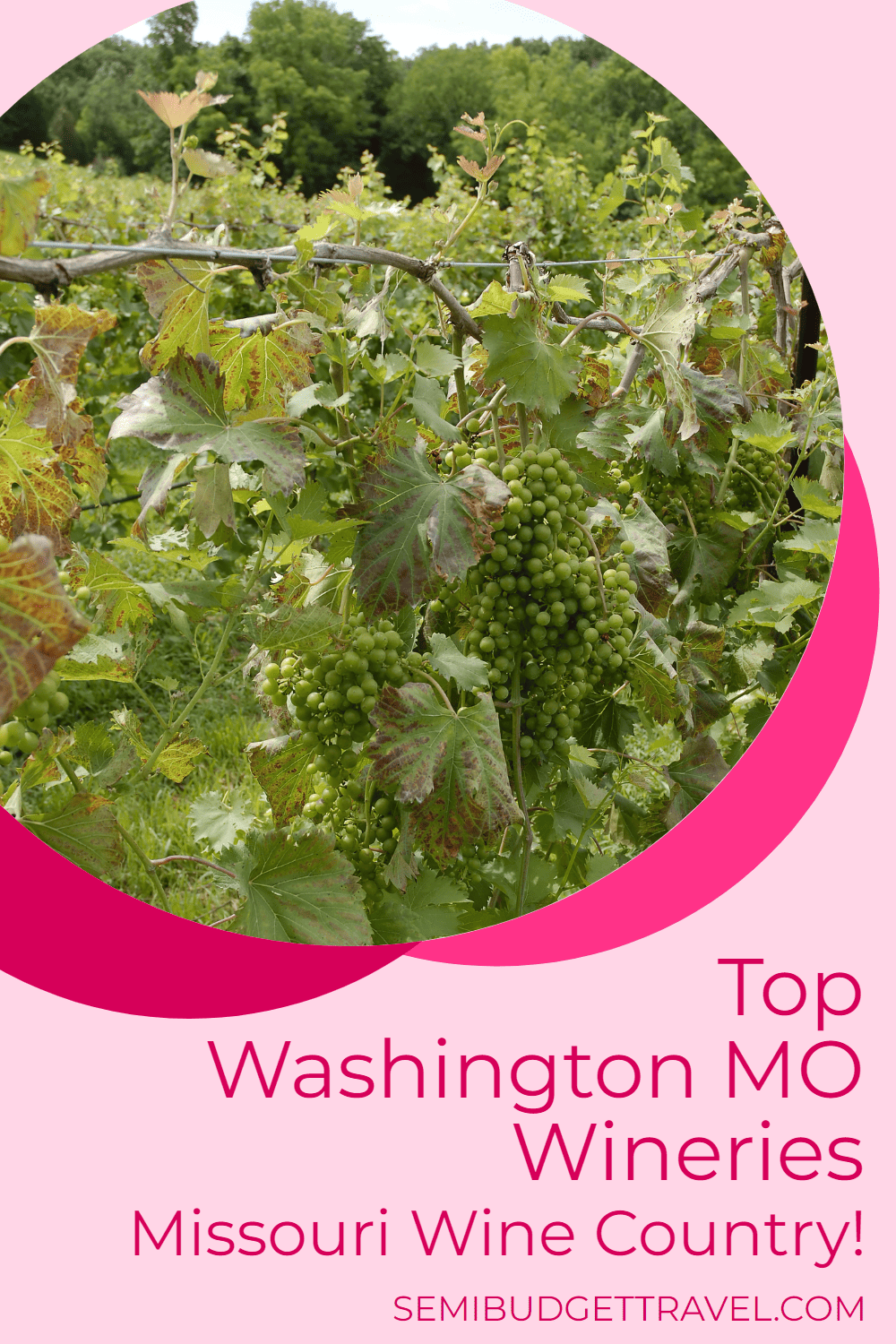 13 Top Washington MO Wineries Missouri Wine Country!