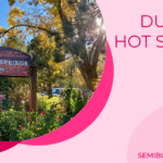 Durango Hot Springs Resort